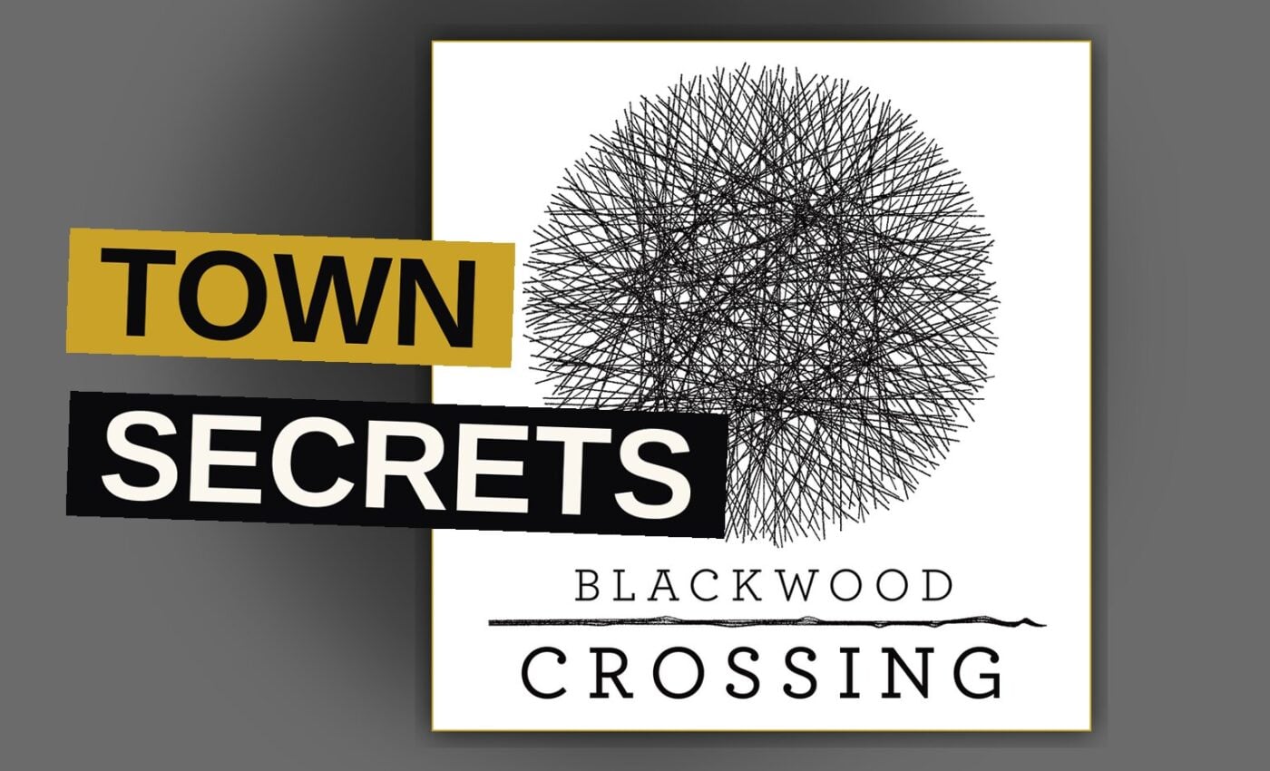 A dimly lit, foggy street in a small town evokes a sense of concealed secrets and dread.