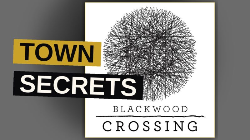 A dimly lit, foggy street in a small town evokes a sense of concealed secrets and dread.