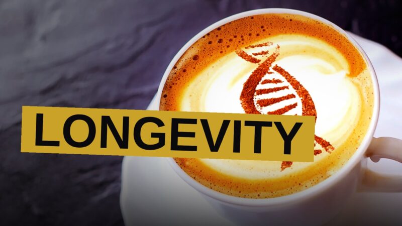 A steaming cup of coffee sits beside a glowing, abstract cellular network, suggesting a link between caffeine and cellular health.