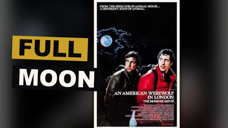 An American Werewolf in London cover art