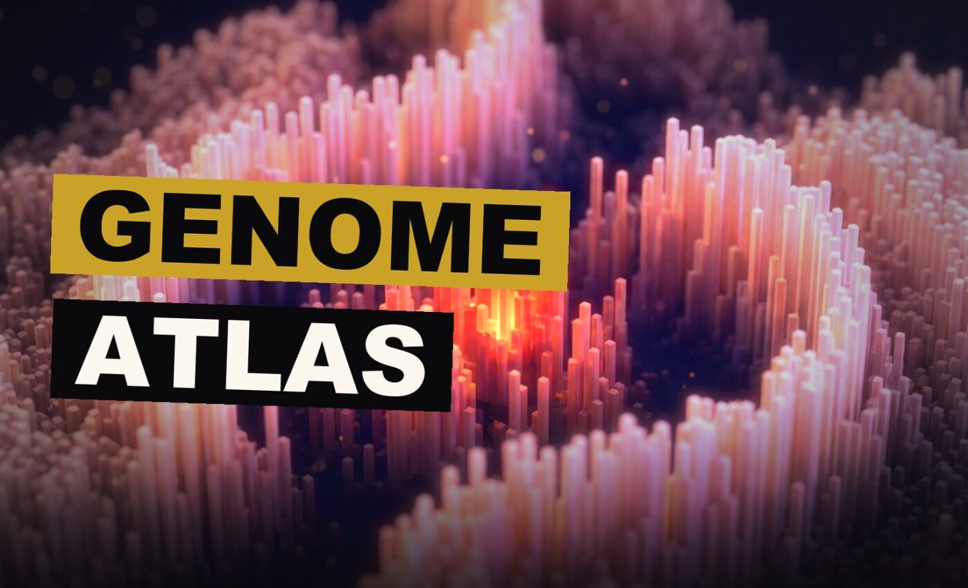 A luminous digital atlas of the human genome, its many threads glowing like stars against the dark, a marvel of design and thought.