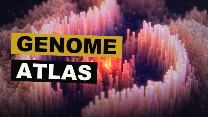 A luminous digital atlas of the human genome, its many threads glowing like stars against the dark, a marvel of design and thought.