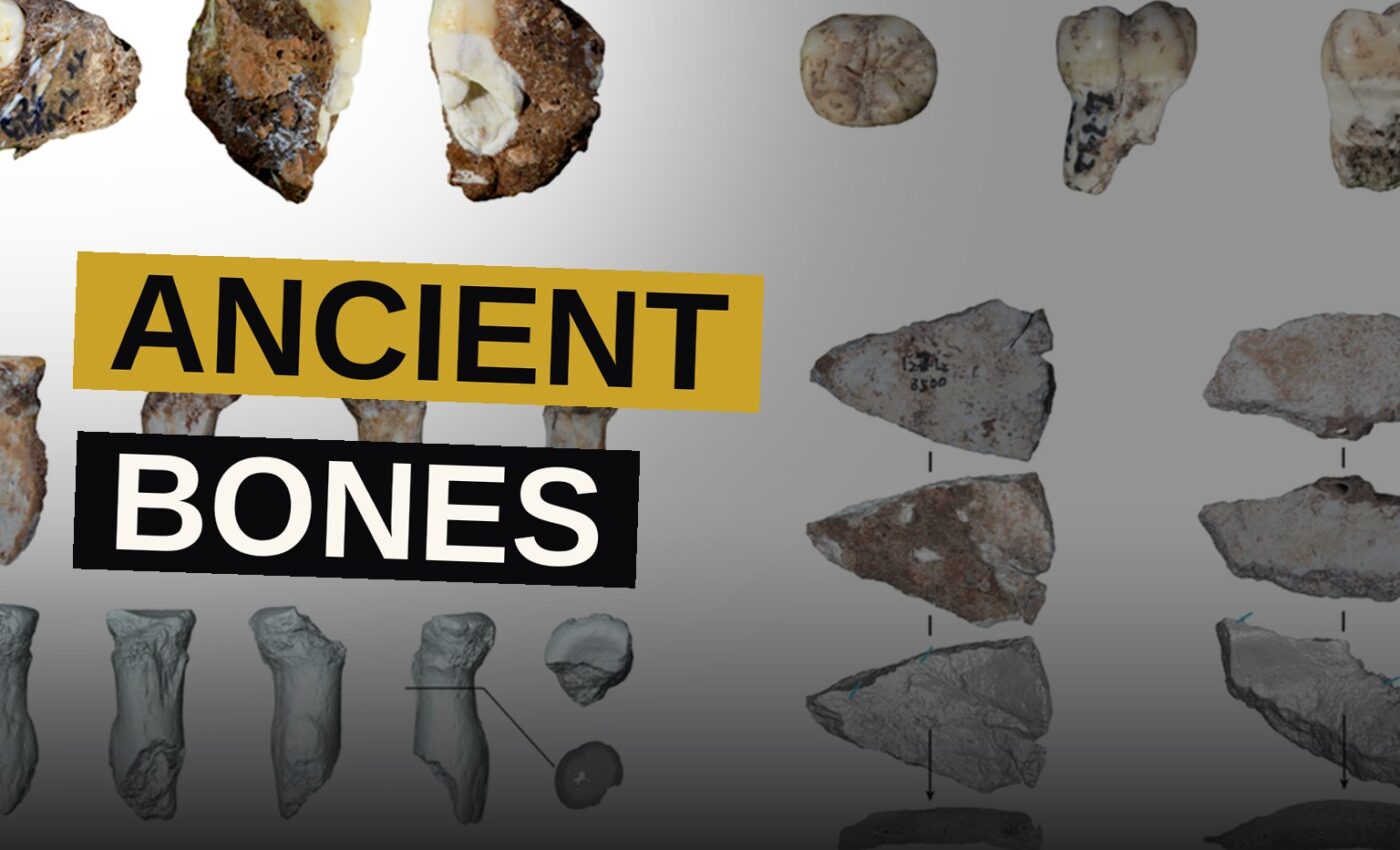 An excavated cave floor scattered with ancient bones and stone tools, with a forested landscape visible outside.