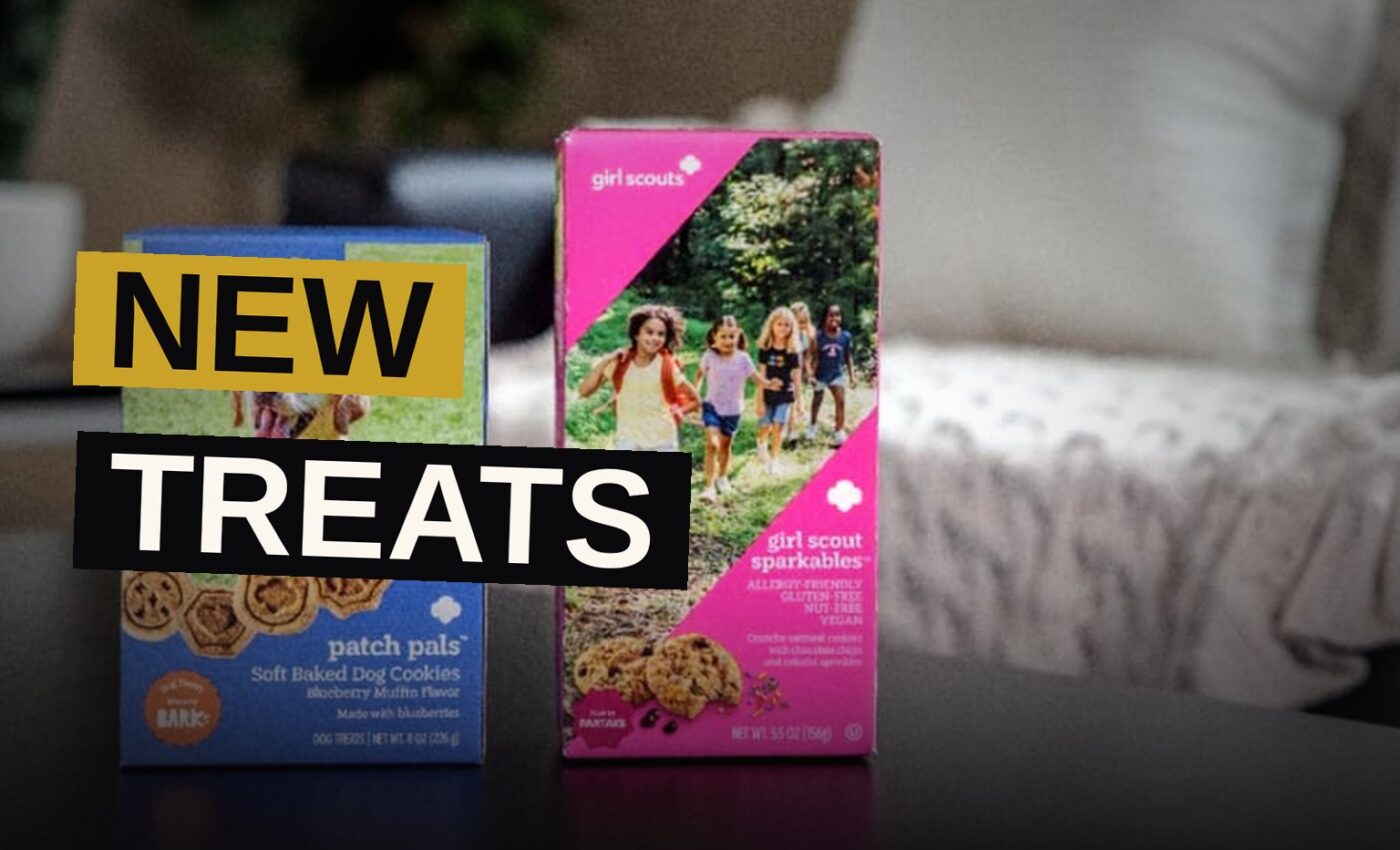 A dog noses a new blueberry treat box beside classic cookie boxes upon a bright table.