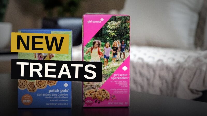 A dog noses a new blueberry treat box beside classic cookie boxes upon a bright table.