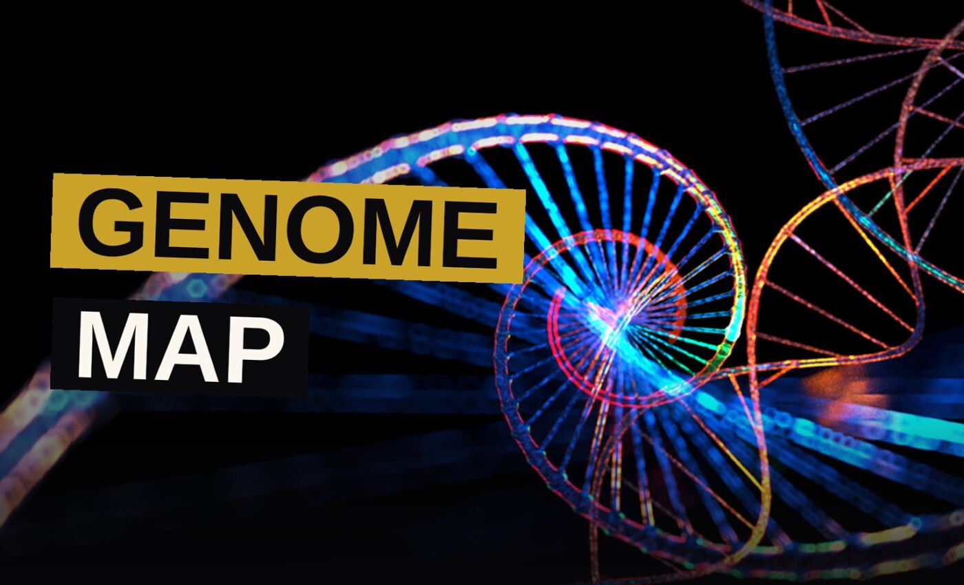A digital illustration of a DNA helix merging with streams of binary data, representing AI genome analysis.