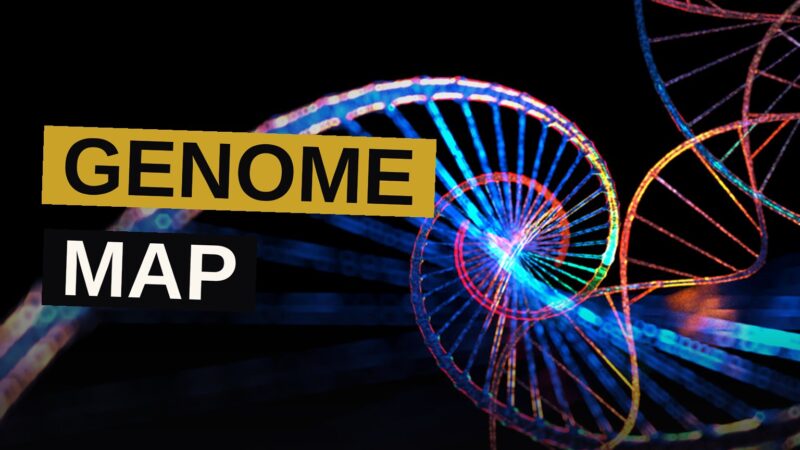 A digital illustration of a DNA helix merging with streams of binary data, representing AI genome analysis.
