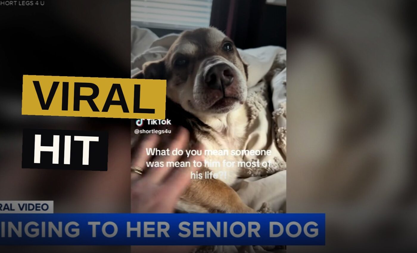 A woman sings softly to her elderly rescue dog in a comfortable home setting.