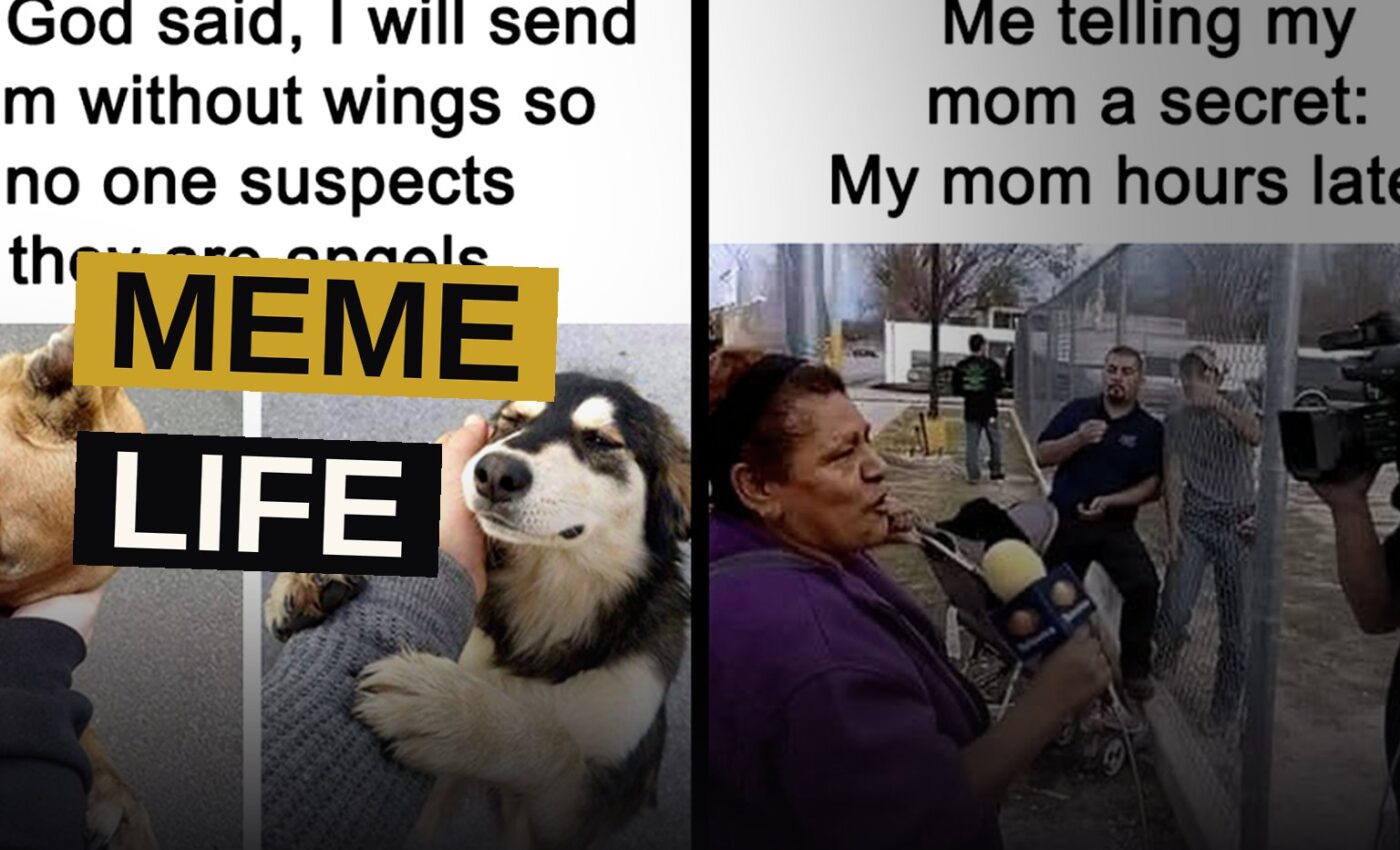 A whimsical collage of colorful cartoon-style memes with humorous text overlays.