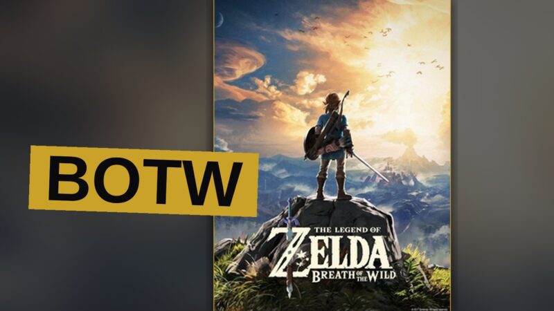 A hero in green overlooks a vast, sunny Hyrule landscape from a cliff.