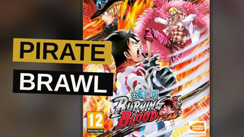 Two pirates of straw hats meet in battle, their fists raised upon the field of combat.
