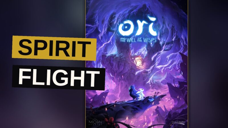 A luminous spirit and a young owl take flight together above a glowing, water-filled cavern.