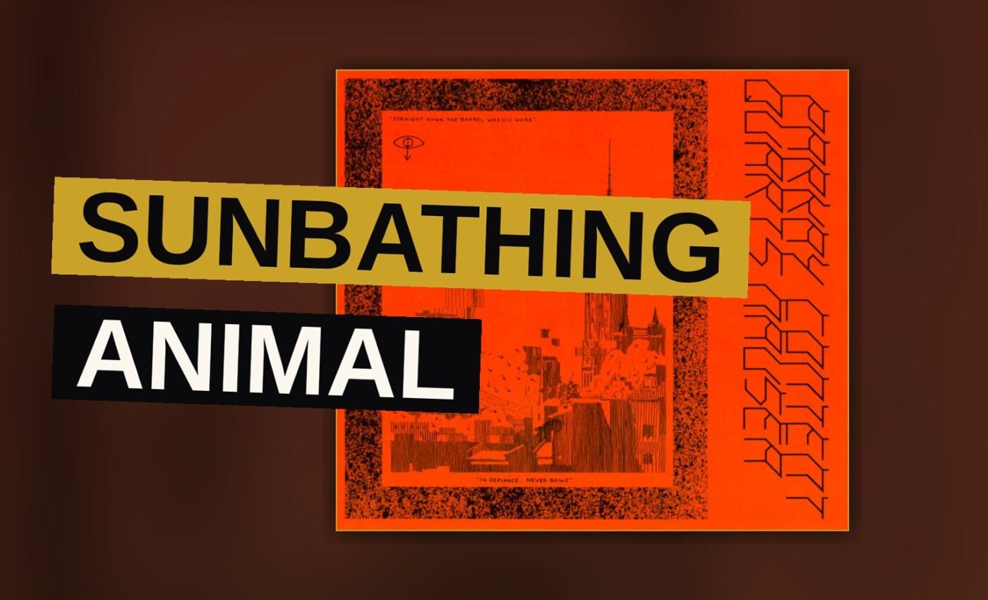A sunbathing animal rests beneath a vast desert sky, evoking the album's sprawling, restless energy.