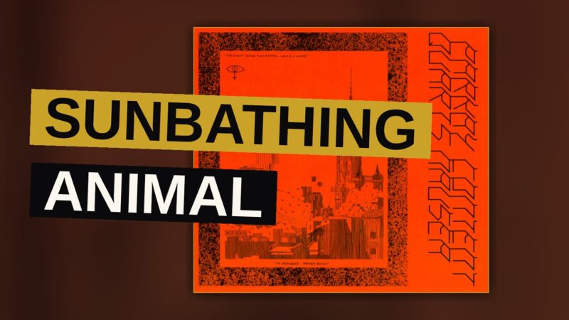 A sunbathing animal rests beneath a vast desert sky, evoking the album's sprawling, restless energy.