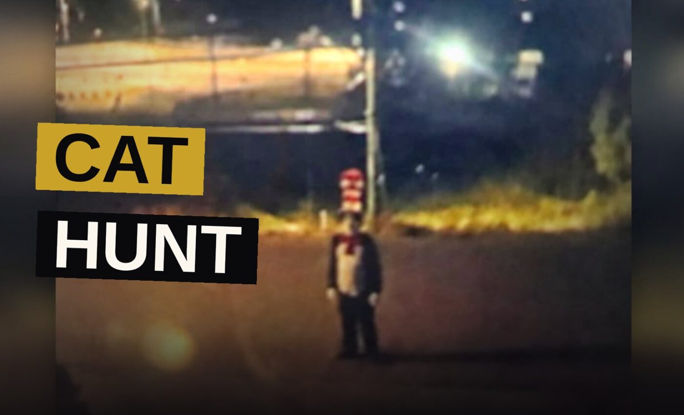 Security camera footage shows a person dressed as the Cat in the Hat standing outside at night in a residential neighborhood.