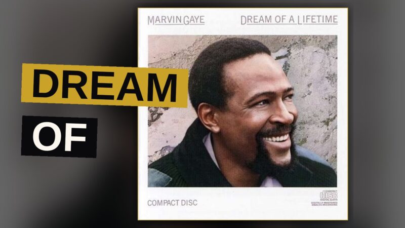 A vinyl record sleeve with a shadowy silhouette of a singer at a microphone in warm amber light.