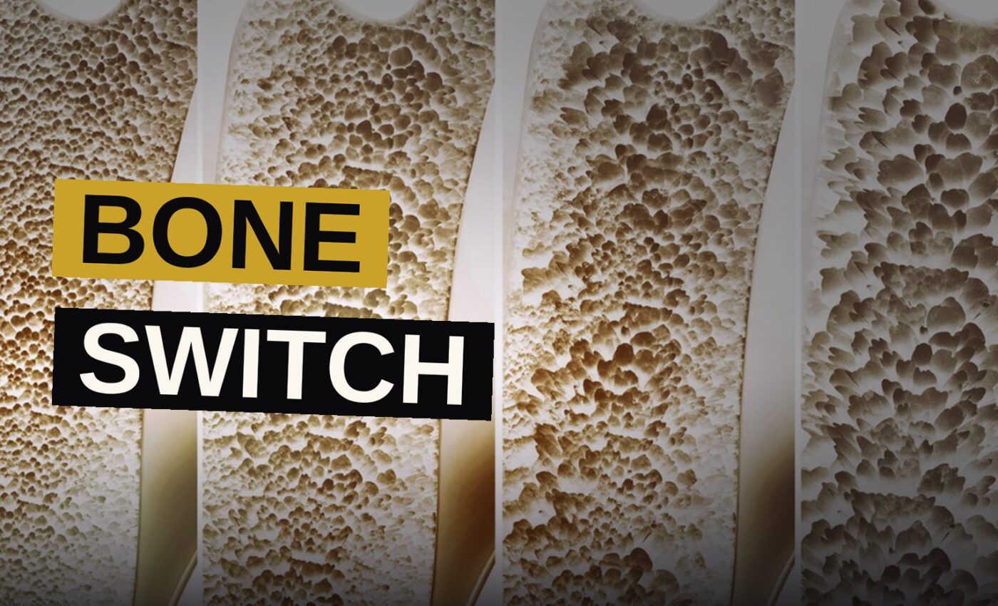 Illustration of dense bone tissue glowing with cellular activity representing bone regeneration research.