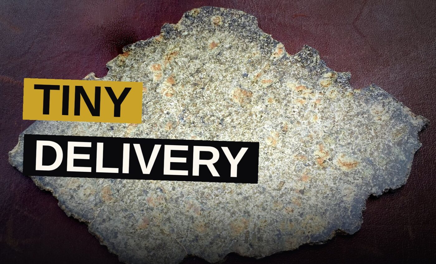 A tiny creature toils across a perilous realm bearing a package, beset by foes and hazard.