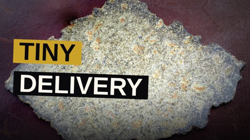 A tiny creature toils across a perilous realm bearing a package, beset by foes and hazard.