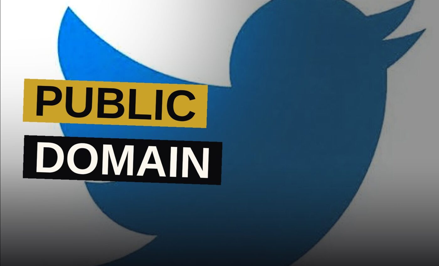 An illustration of the old Twitter bird logo dissolving beside a gavel, symbolizing its trademark falling into public domain.