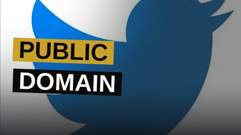 An illustration of the old Twitter bird logo dissolving beside a gavel, symbolizing its trademark falling into public domain.