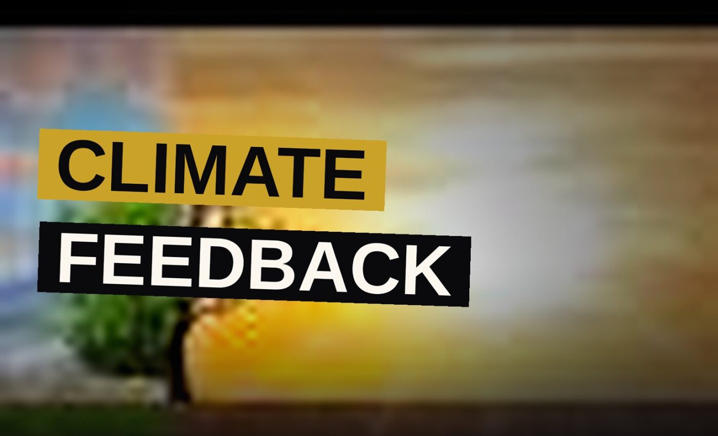 A split image showing a healthy forest on one side and a parched, cracked landscape on the other, illustrating climate feedback effects.