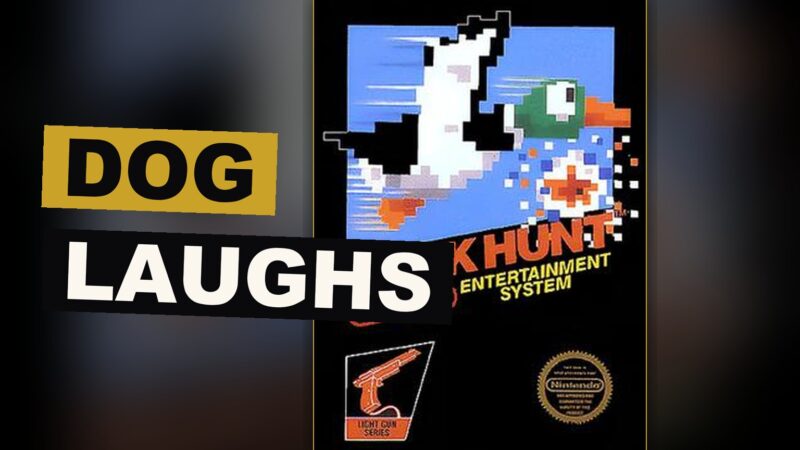 A gray dog rises from the grass holding a duck while a plastic gun rests before an old television.